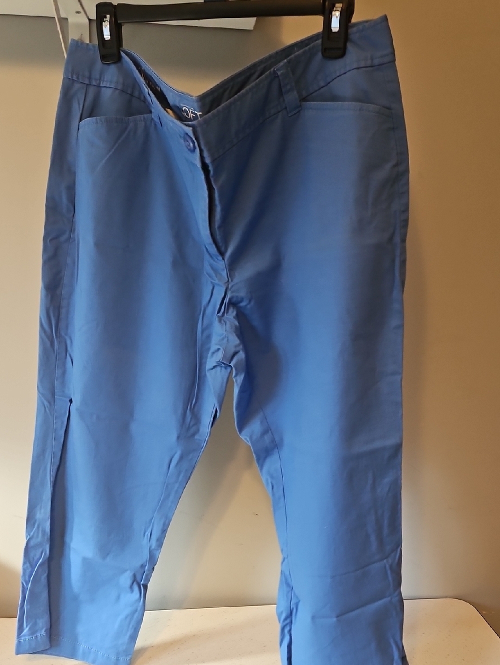 LOFT Womens Light Blue Chinos